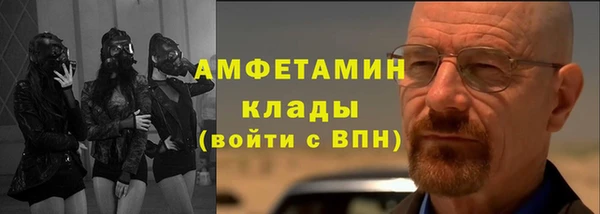 дурь Ельня