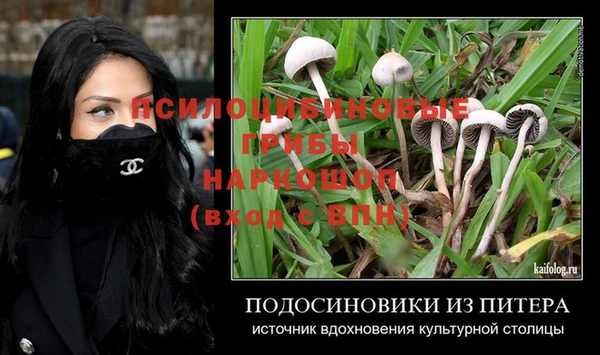 дурь Ельня