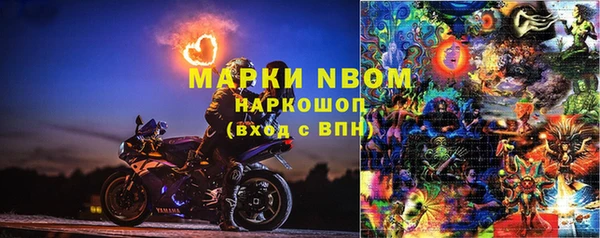 дурь Ельня