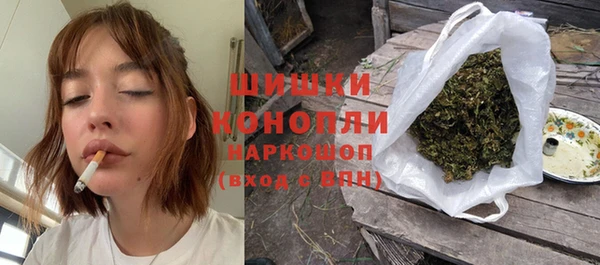 дурь Ельня