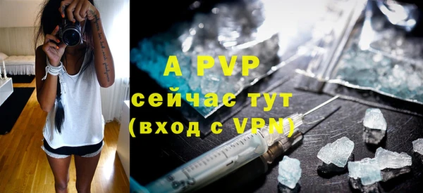 дурь Ельня