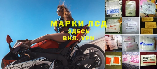 mdpv Елизово