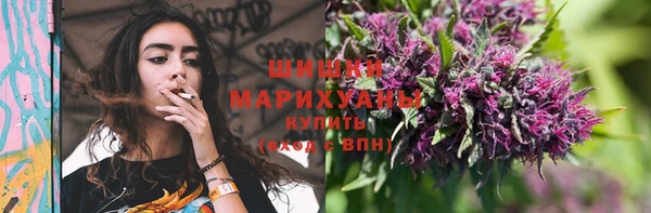 дурь Ельня
